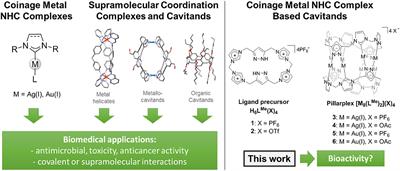 Antimicrobial Activity and Cytotoxicity of Ag(I) and Au(I) Pillarplexes